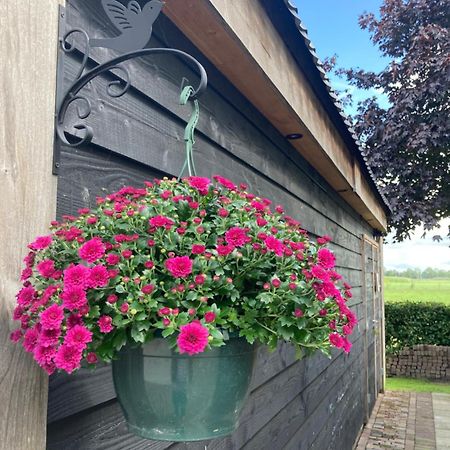De Barg Villa Vinkenbuurt Exterior foto