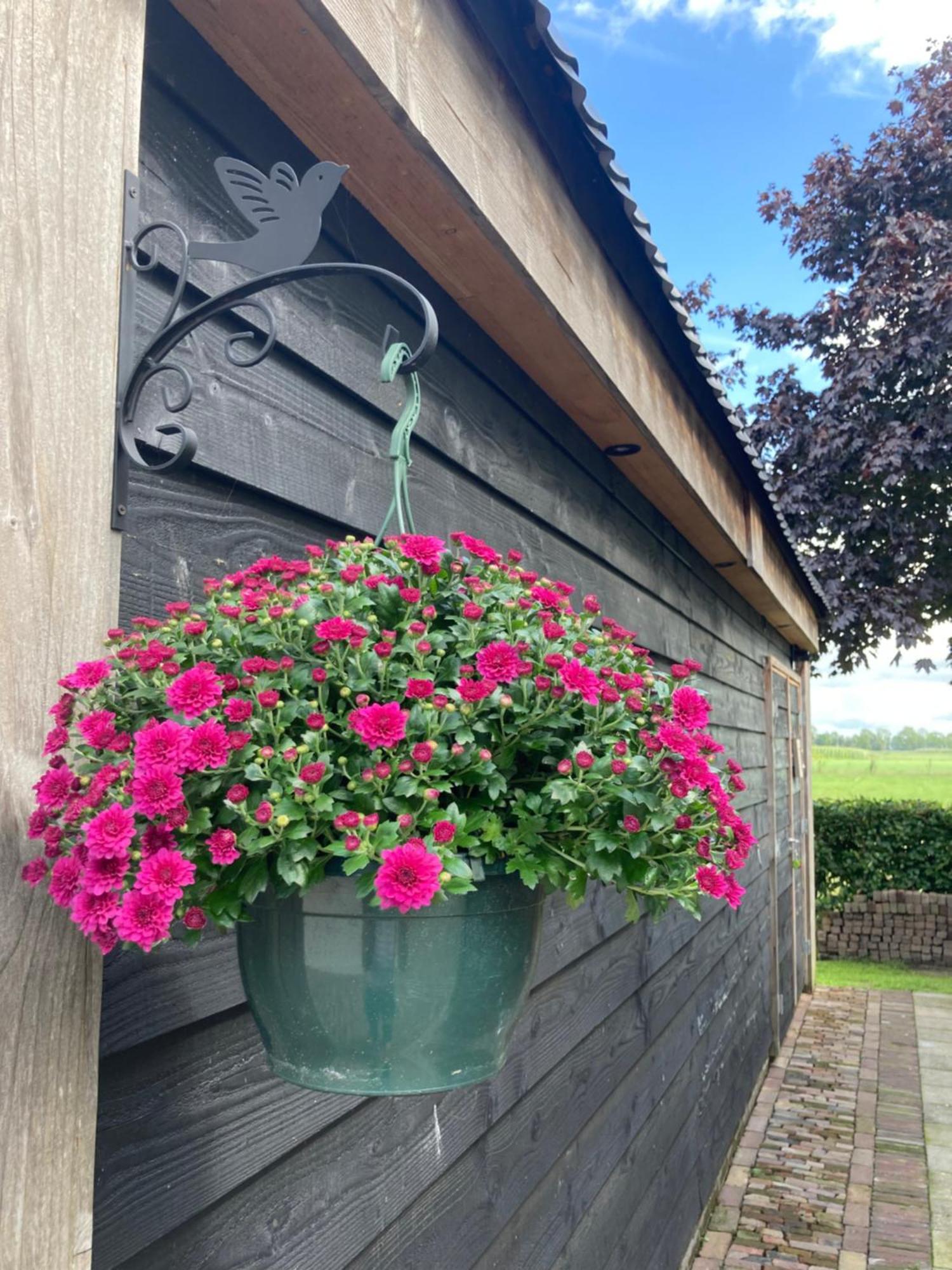De Barg Villa Vinkenbuurt Exterior foto